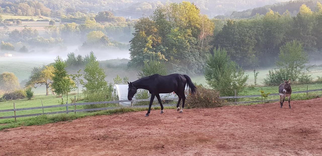 Coeur Vert Oekologisch Mit Viel Ambiente Fuer Seelen-Wellness Ronchamp Dış mekan fotoğraf
