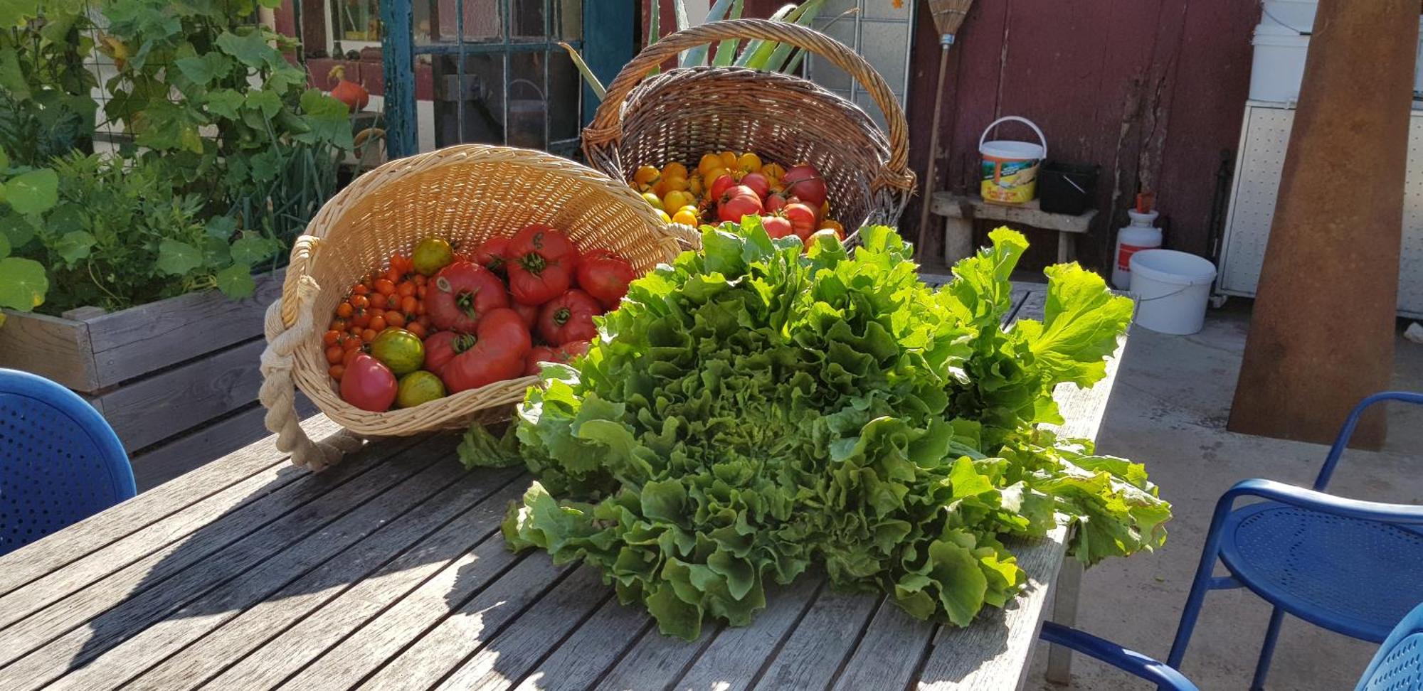 Coeur Vert Oekologisch Mit Viel Ambiente Fuer Seelen-Wellness Ronchamp Oda fotoğraf